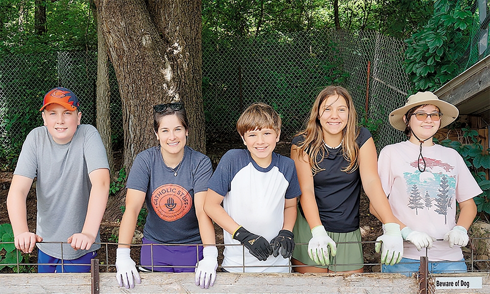 The progress of Go Make Disciples and Into the Deep